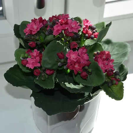 City Overnatning Apartman