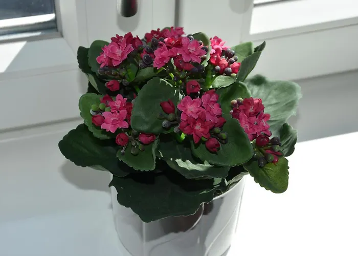 City Overnatning Apartman